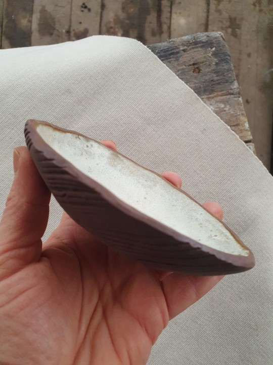 20260219_152050.jpg